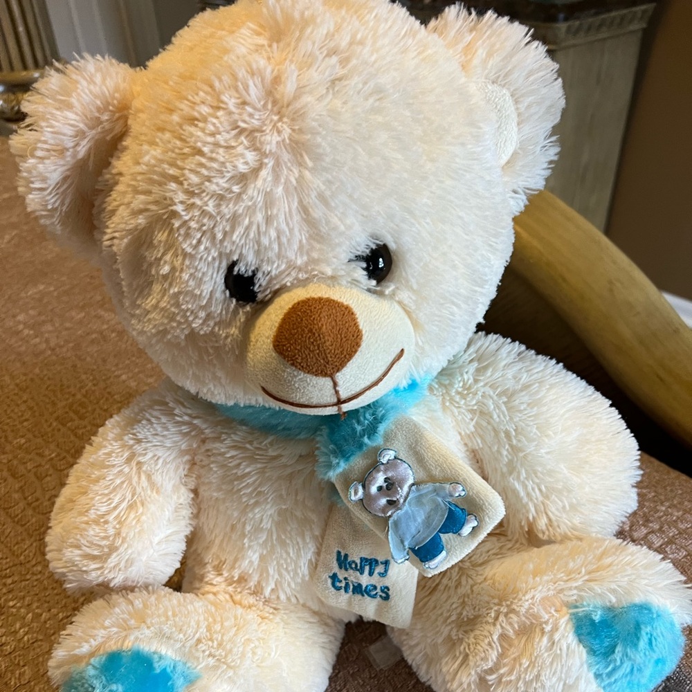 Plush Teddy Bear Sz 13in